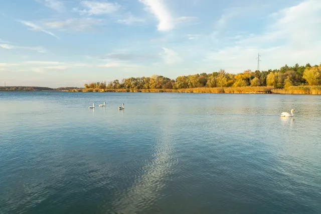 Zobnatičko Jezero Bačka Topola