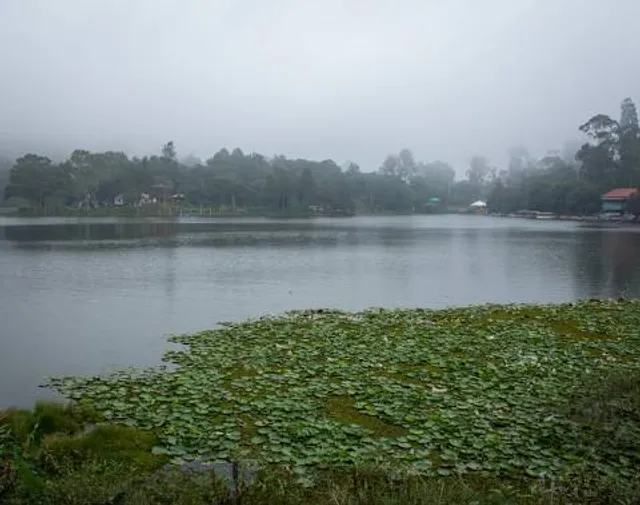 Yercaud Hill Station