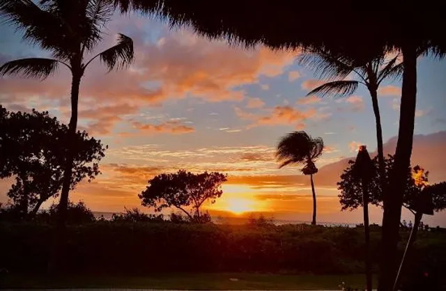 Smithsonian Marine Ecosystems Exhibit