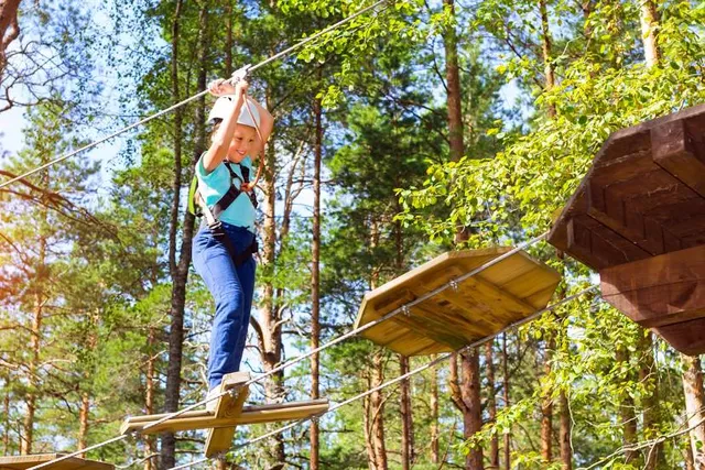 Fun Forest Playground