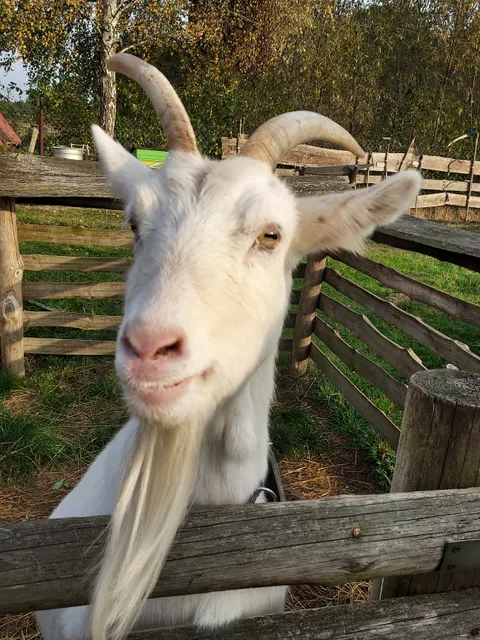 Zwierzyniec Eurostruś