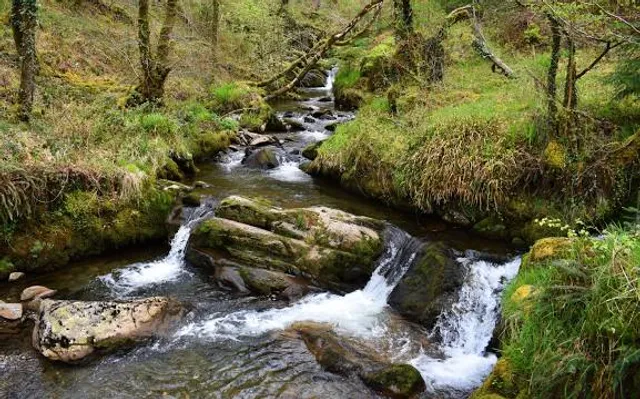 Cascada de Pozo Negro