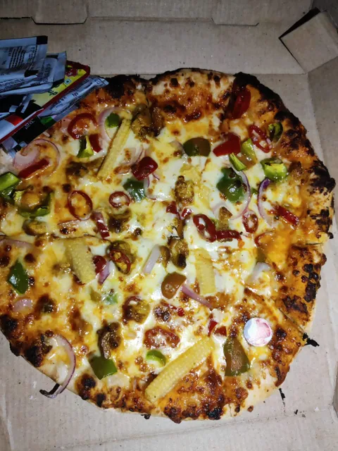 Igloo Wood Fired Pizza