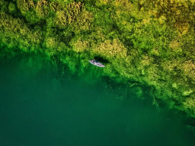 West Branch Forest Preserve