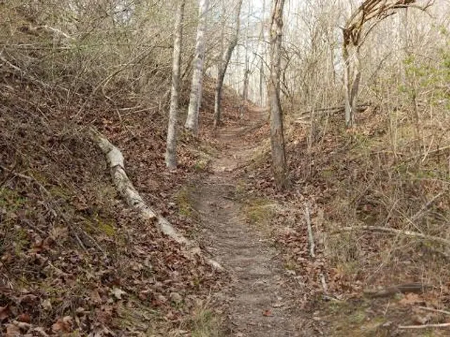 photo-3
