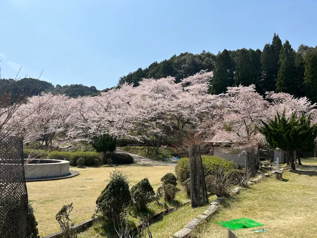 Osugi Dam Natural Park