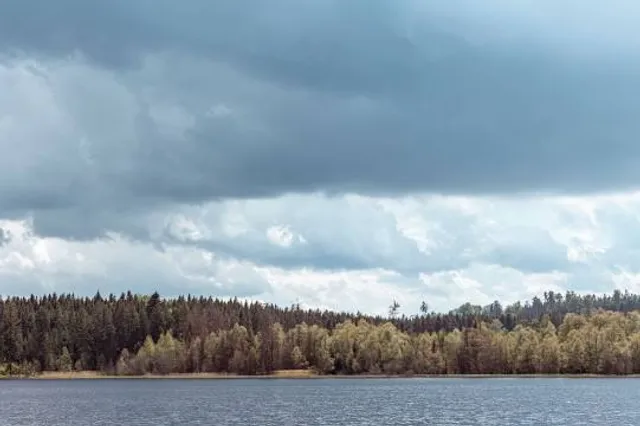 Pařezitý large pond
