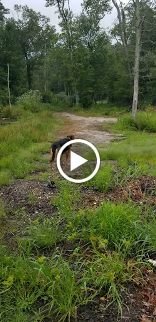 Butterfly Bogs Wildlife Management Area