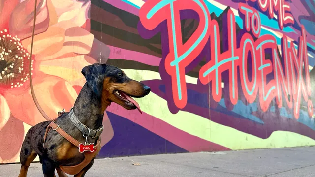 Welcome to Phoenix Mural by Kayla Newnam