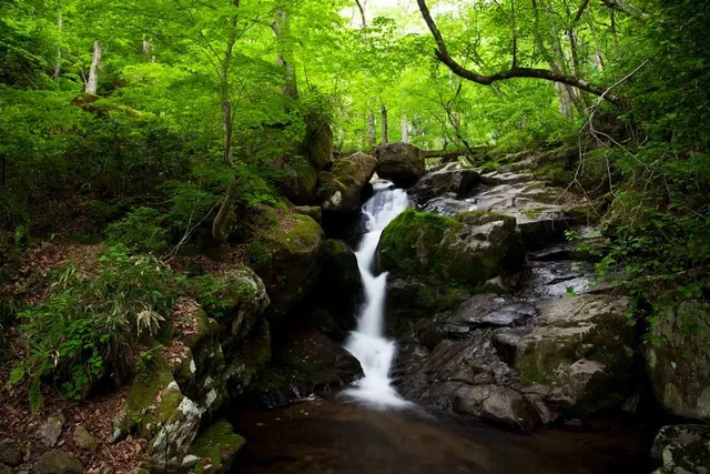 Utsue Forty-Eight Waterfalls Prefectural Park