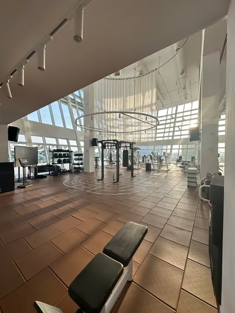 THE BRIDGE | Wellness Hub