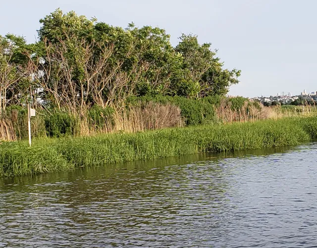 Hackensack Meadowlands Conservation and Wildlife Area