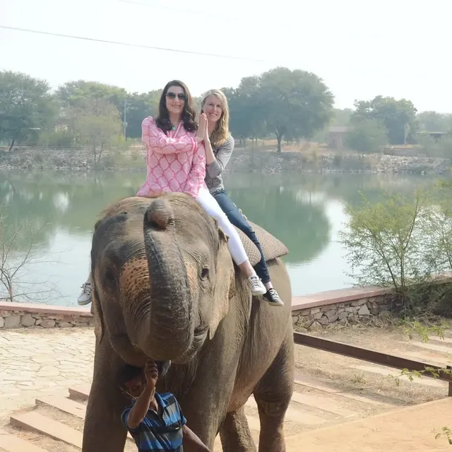 Elephant safari