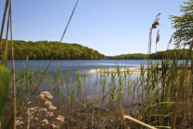 Fall Creek Falls Lake