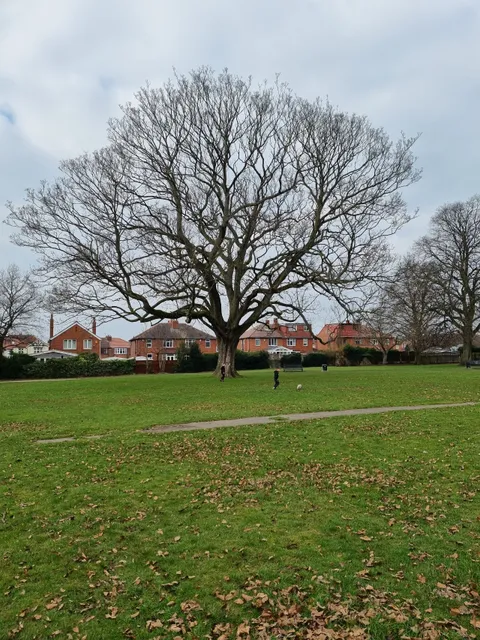 Manston Park