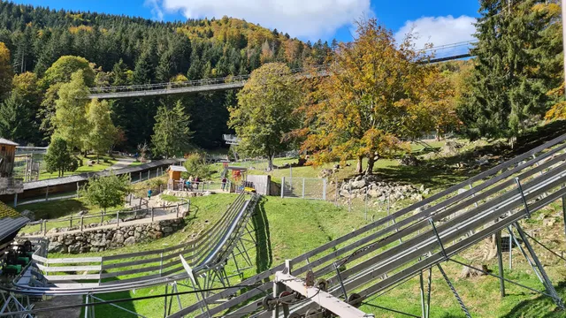 Alpine Coaster im Steinwasenpark