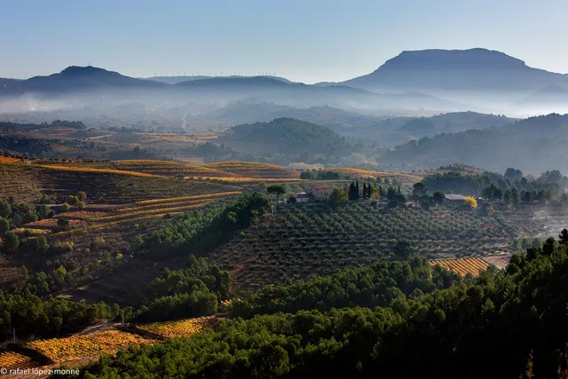 MAS D'EN GIL - Bellmunt del Priorat