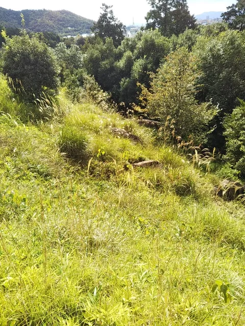 Sakurabasama Shiseki Park