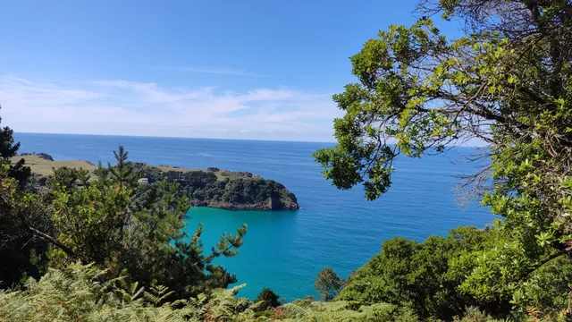 Senda peatonal costera en Prellezo PR-S 252