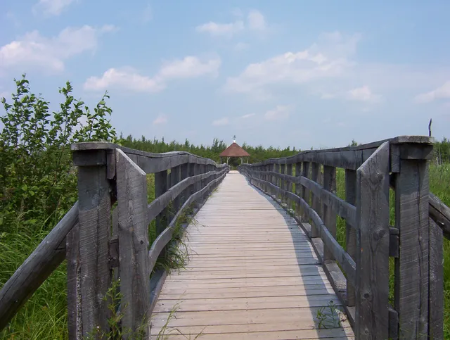 Corduroy Brook Nature Trail