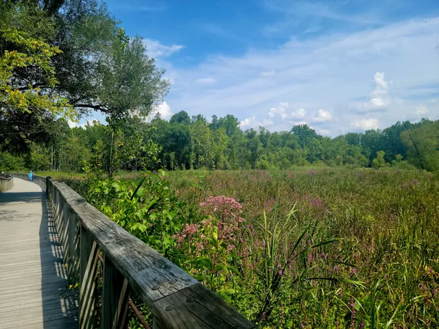 Beaver Marsh Boardwalk View