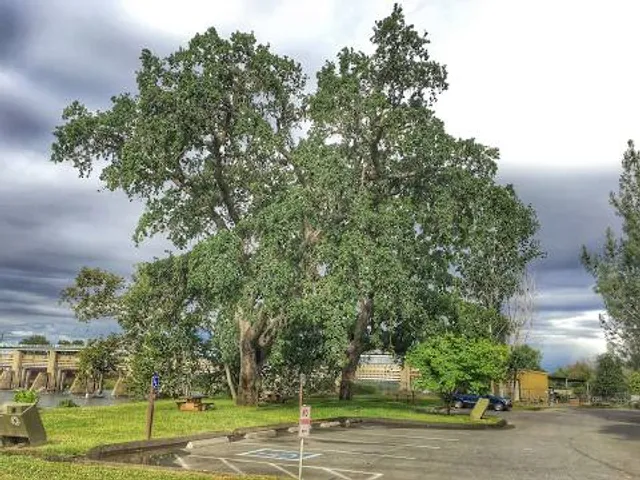 Red Bluff Recreation Area USFS