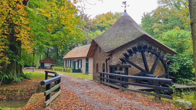 Wandeling Landgoed Geijsteren