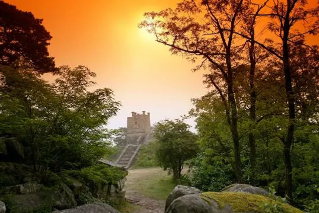 Tour Denecourt Fontainebleau