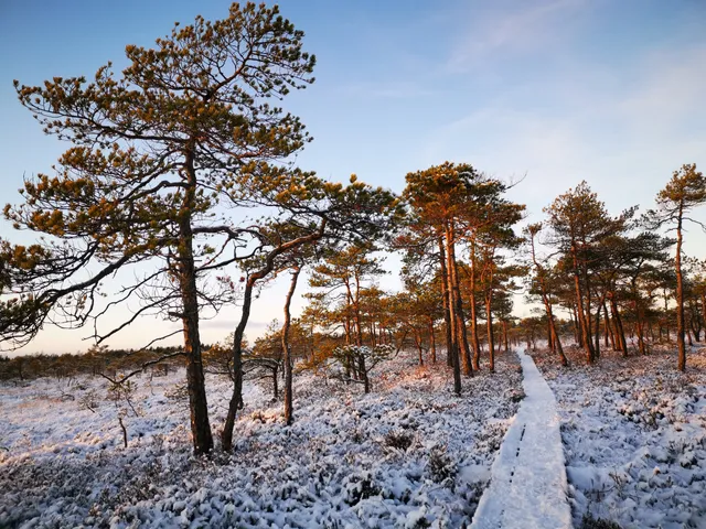 Väätsa Nature Reserve hiking trail