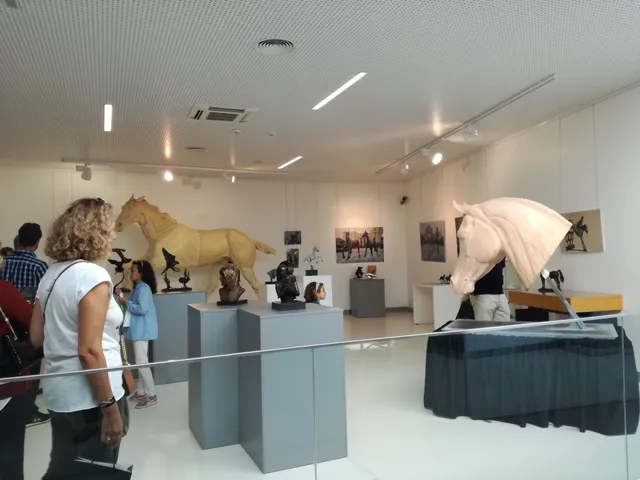 Museu e Centro de Artes de Figueiró dos Vinhos