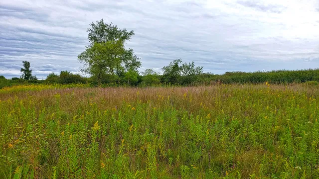 Chiwaukee Prairie State Natural Area