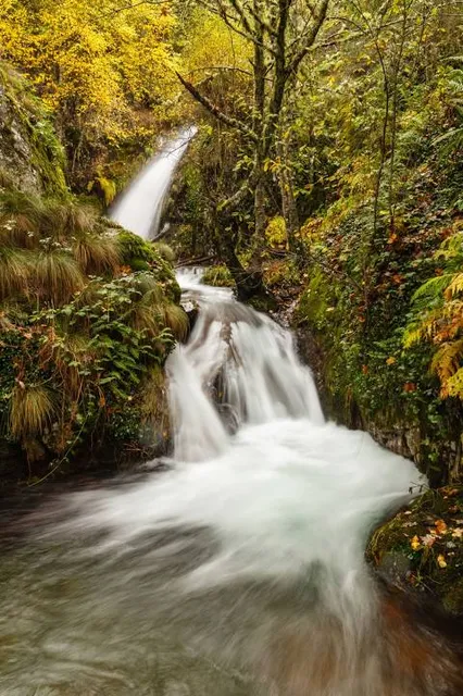 Ruta de las Fuentes Medicinales de Noceda