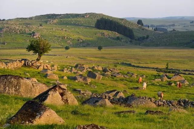 Aubrac Natural Regional Park