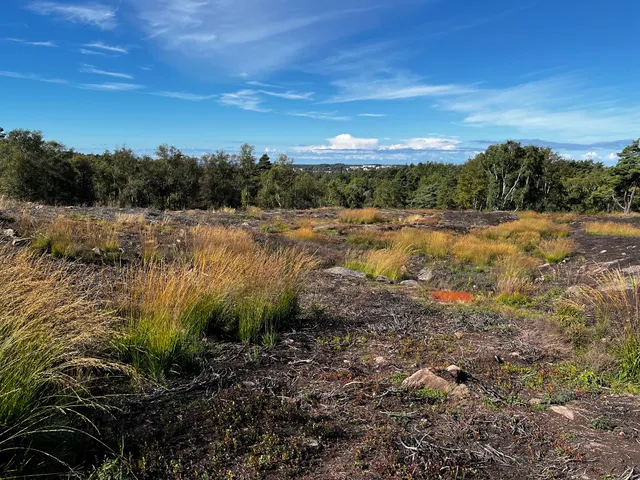 Promenaden Ljungheden