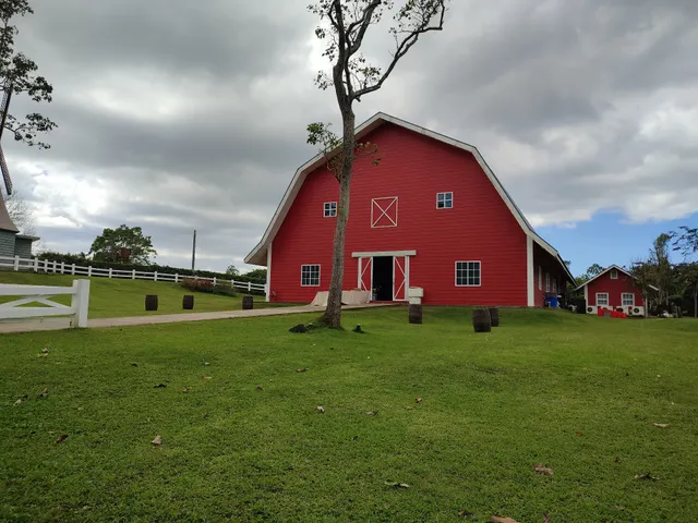 The Old Grove Farmstead