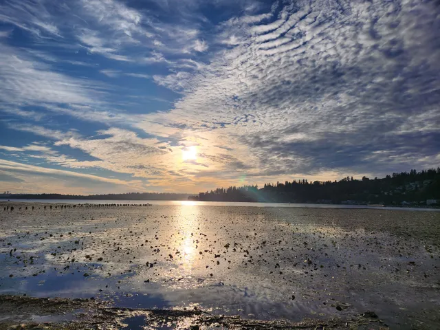 Juanita Bay Park parking lot