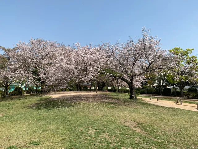 Omoto Chuo Park