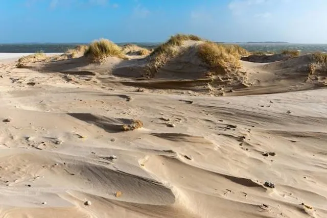 Nordspitze Amrum auf der Insel Amrum im Kreis Südtondern