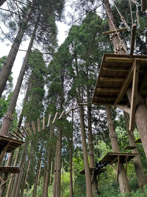 アドベンチャーパーク森のかわなべ