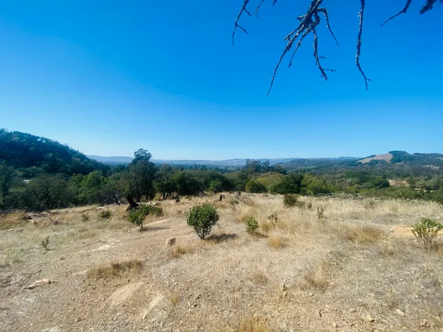 Bartholomew Winery Trail