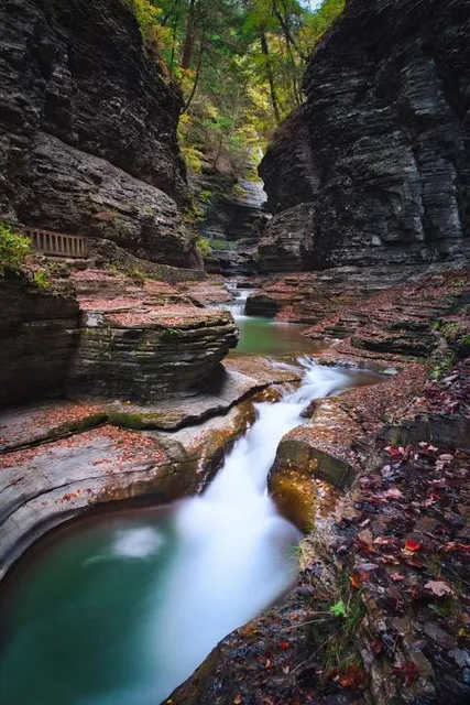 Tower Hill State Park