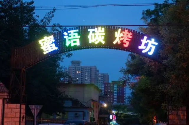 Montgomery County Historical Society, Lane Place Antebellum Mansion