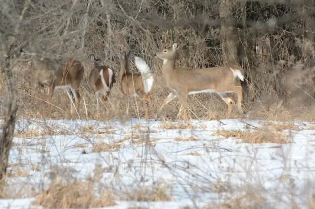 Woodbury Wildlife Area