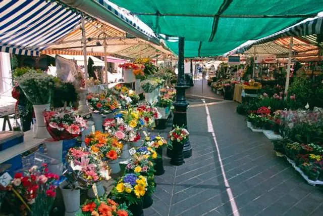Marché Aux Fleurs Cours Saleya