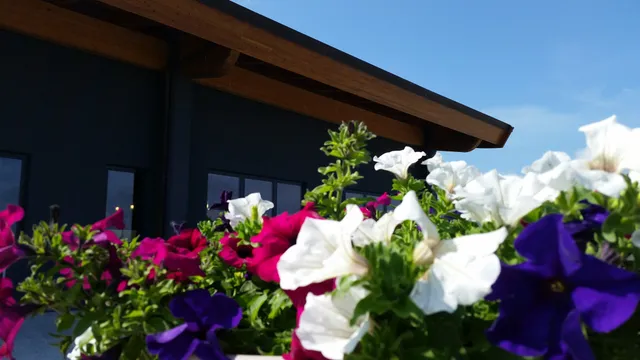 Cantina di Montalcino