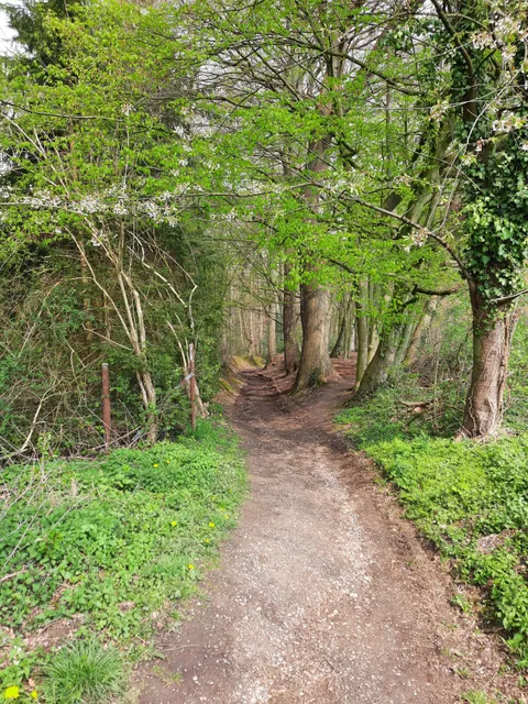 Grafen- und Mönchsweg