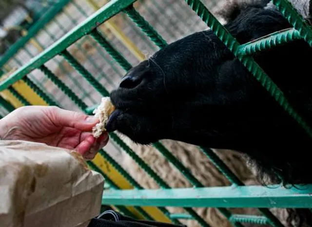 Большереченское городское поселение
