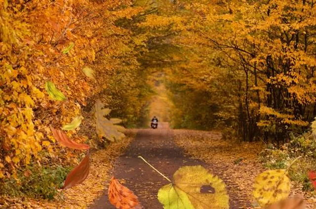 Kőszikla Szurdok (Kicikla)