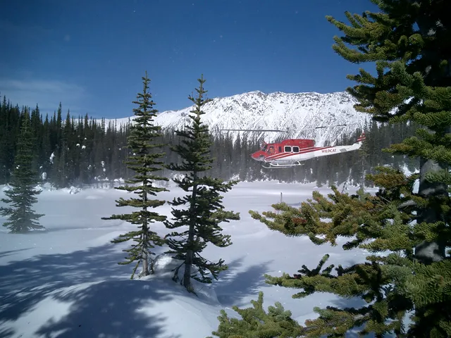 photo-3