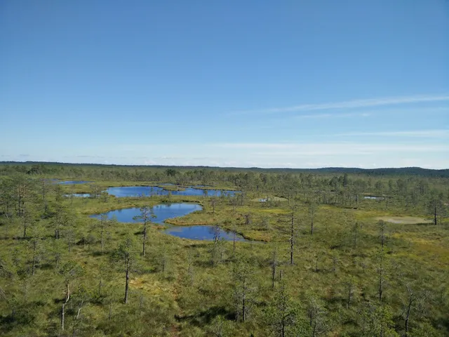 Liiapeksi-Aegviidu matkarada